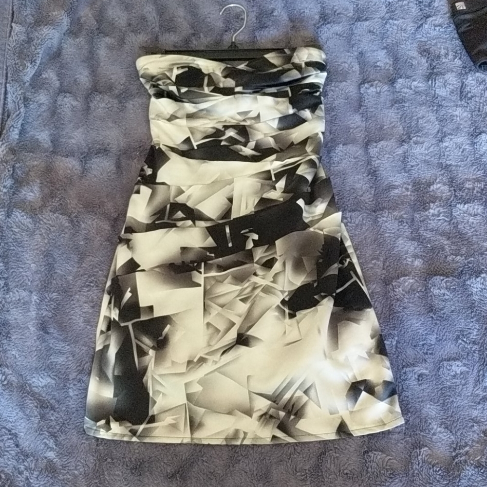 Mini Fitted Dress